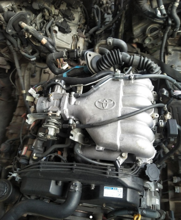 Toyota Prado Engine
